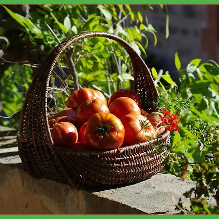 Bed & Breakfast La Prade Basse 82 3*