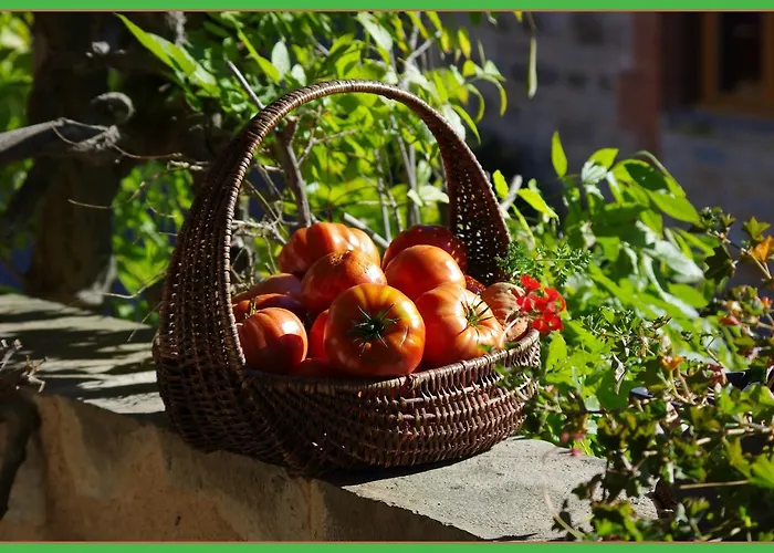 לינה וארוחת בוקר La Prade Basse 82 3*